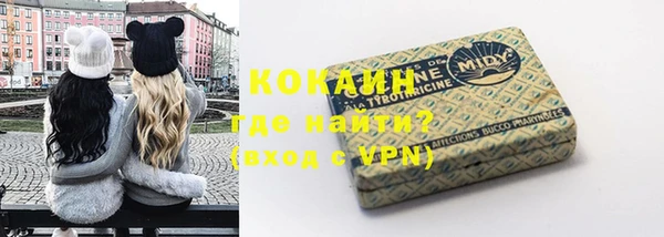 прущие грибы Балахна