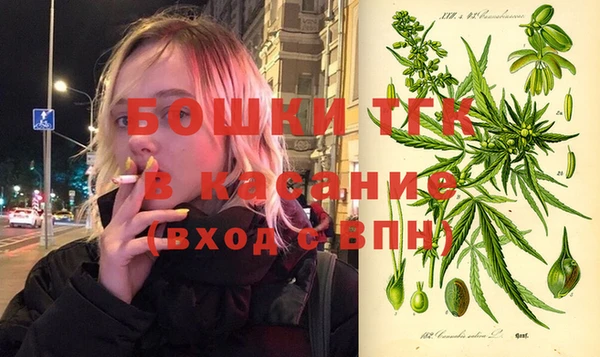 индика Баксан