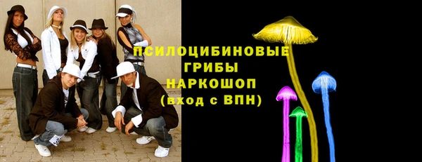 прущие грибы Балахна