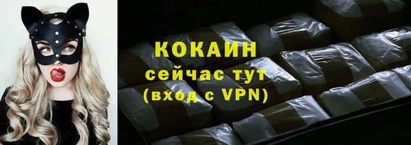 дмт Костерёво