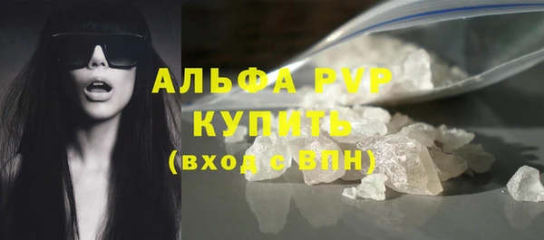 прущие грибы Балахна
