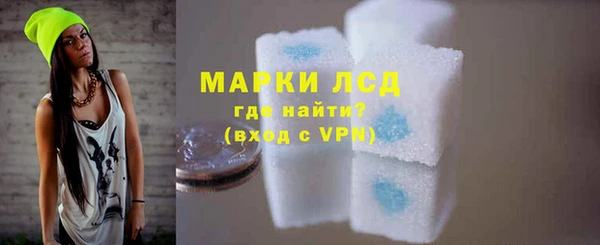 индика Баксан