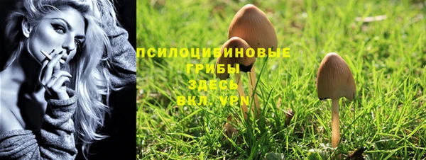 прущие грибы Балахна