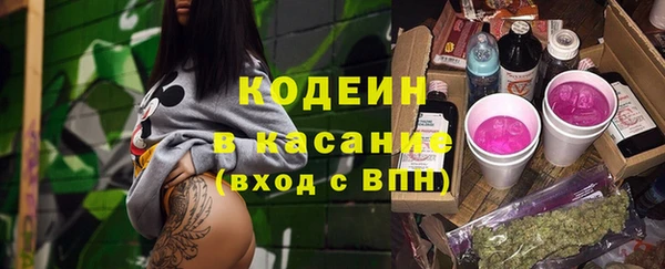 индика Баксан