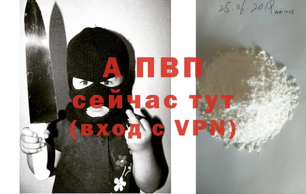 индика Баксан