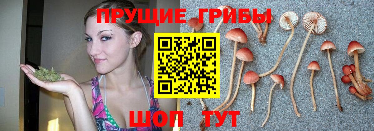 Псилоцибиновые грибы мицелий Борисоглебск