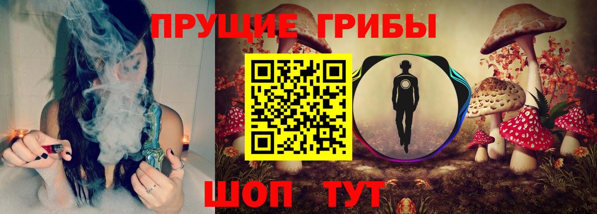 Борисоглебск  Галлюциногенные грибы ЛСД  Вход с VPN 