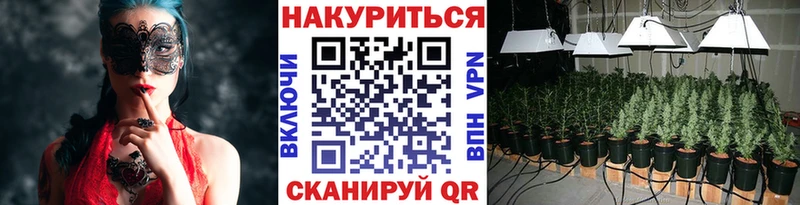 Бошки Шишки сатива  ссылка на мегу зеркало  Борисоглебск 